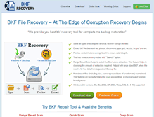 Tablet Screenshot of bkffilerecovery.org